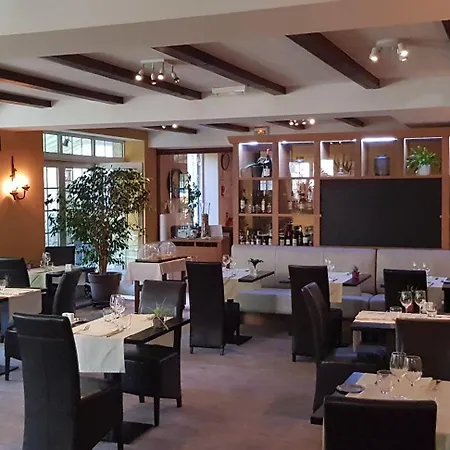金狮酒店 酒店 Saint-Geniez-dʼOlt
