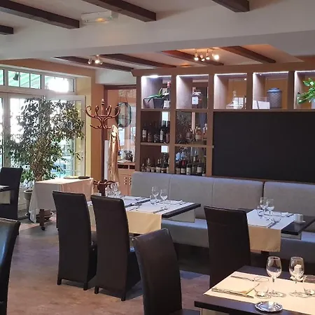 Hotel Le Lion D'or 3*